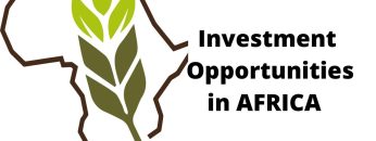 Agricultural Opportunities to Invest In Africa(Kenya)