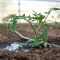 Alternative irrigation methods