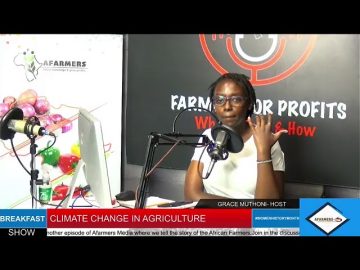 CLIMATE CHANGE IN AGRICULTURE