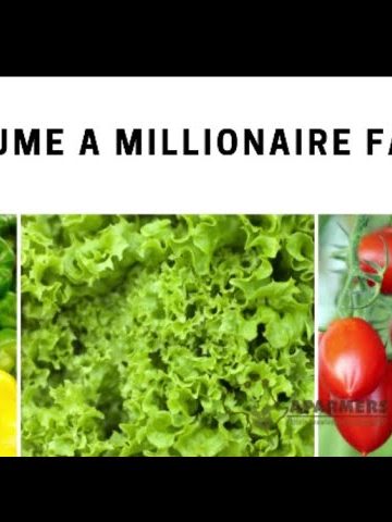 Crops that can make you a millionaire farmer