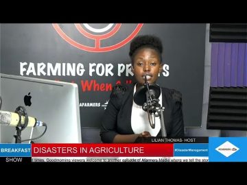 Disasters In Agriculture.