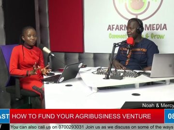 HOW TO FUND YOUR AGRIBUSINESS VENTURE