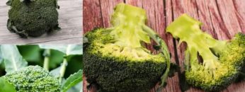 How to grow broccoli in Kenya