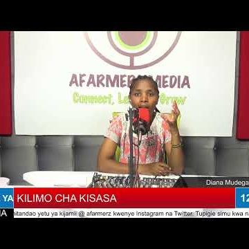 KILIMO CHA KISASA | AFarmers Media
