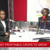 MOST PROFITABLE CROPS TO GROW | AFarmers Media