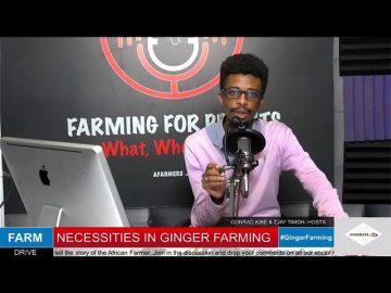 Necessities In Ginger Farming