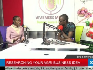 RESEARCHING YOUR AGRI-BUSINESS IDEA | AFarmers Media