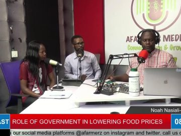 ROLE OF GOVERNMENT IN LOWERING FOOD PRICES