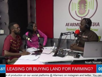 TO LEASE OR TO BUY LAND FOR FARMING?