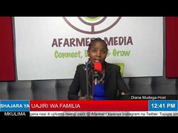 Uajiri Wa Familia | AFarmers Media