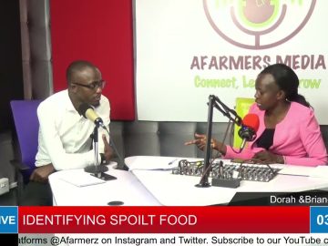 Ways To Identify Spoiled Food | AFarmersMedia